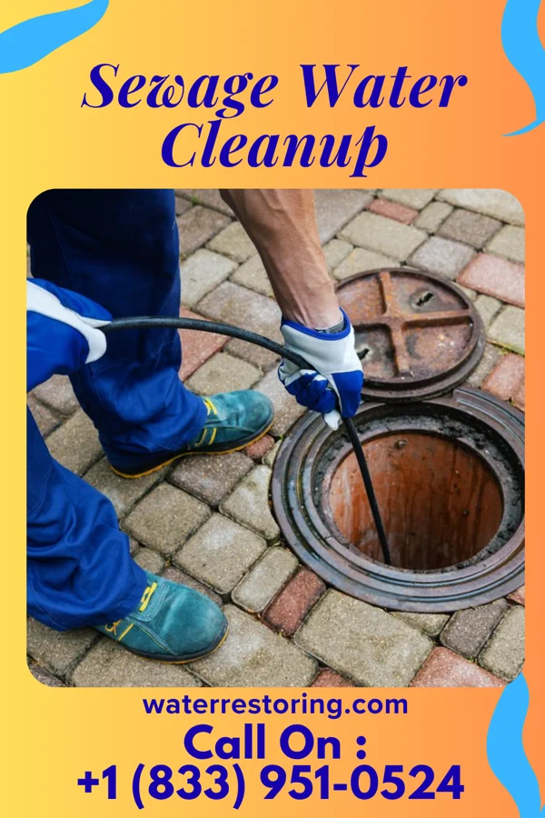Sewage Water Cleanup in New Point, IN